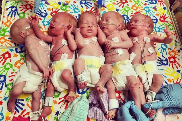 Five Kids At Once Looks Like Quite A Lot…