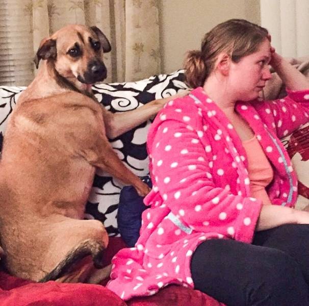 Pets Really Can Teach Us What Unconditional Love Is