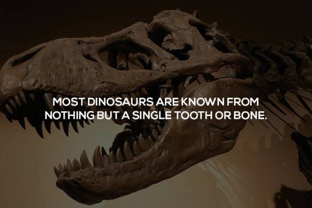 Random But Useful Science Facts