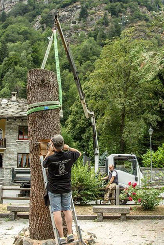 It Was A Tree, And Now It Is A Sculpture