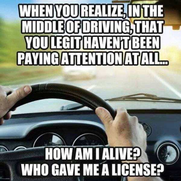 Hilarious Memes About Bad Driving