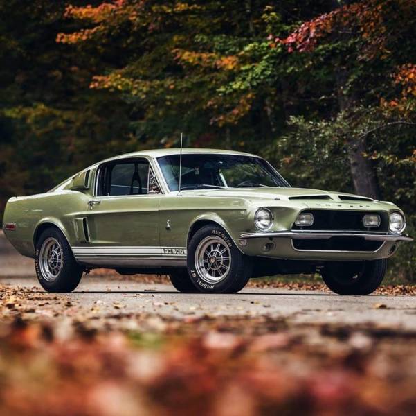 Some Of The Most Stylish Muscle Cars Up To Day