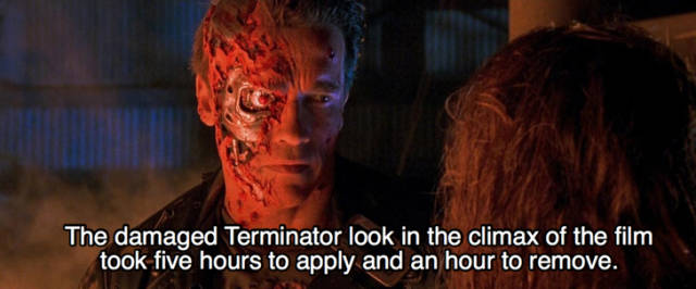 Exciting Facts About The Second Terminator Movie