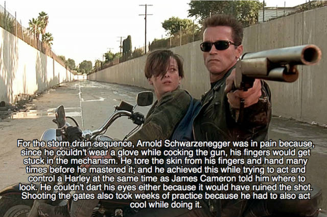 Exciting Facts About The Second Terminator Movie