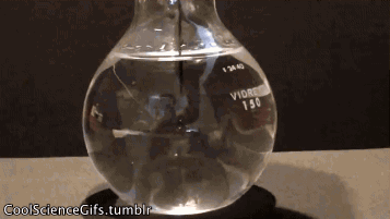 Cool Chemical Reactions That Will Make You Love Science