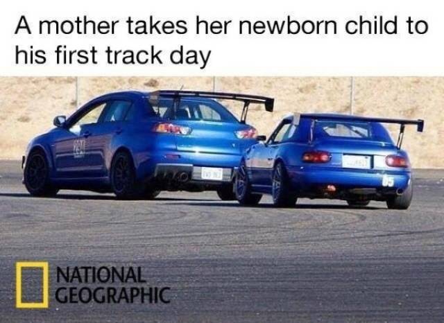 A Collection Of Car Memes For Y