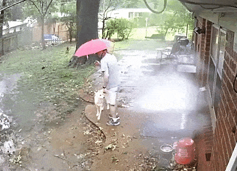 These Gifs Vividly Show What “Oh Shit” Moments Are