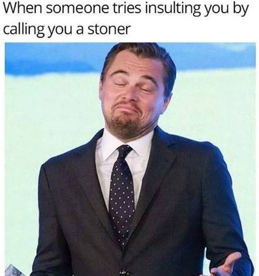 Stoner Memes That Are High AF