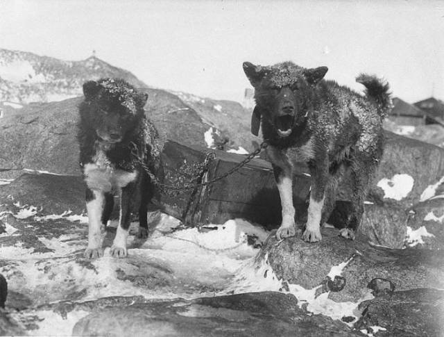 First Australian Antarctic Expedition Of 1911-1914 Looked Like This