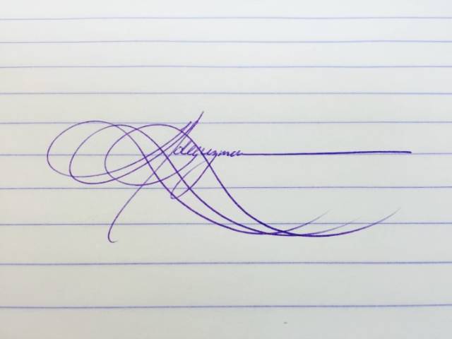 These Handwriting Examples Could Easily Provide You With A Visual Orgasm!