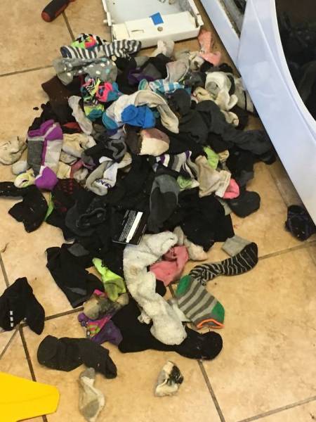 Washing Machines That Eat Socks Is Only A Part Of Horrible Truth…