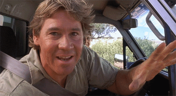 Let’s Once Again Prove That Steve Irwin Deserves His New Star On Hollywood Walk Of Fame