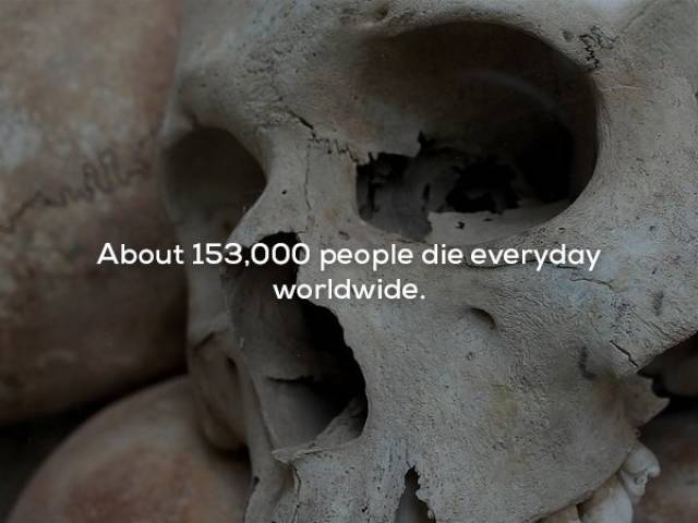 Scary Facts That You’d Better Not Read