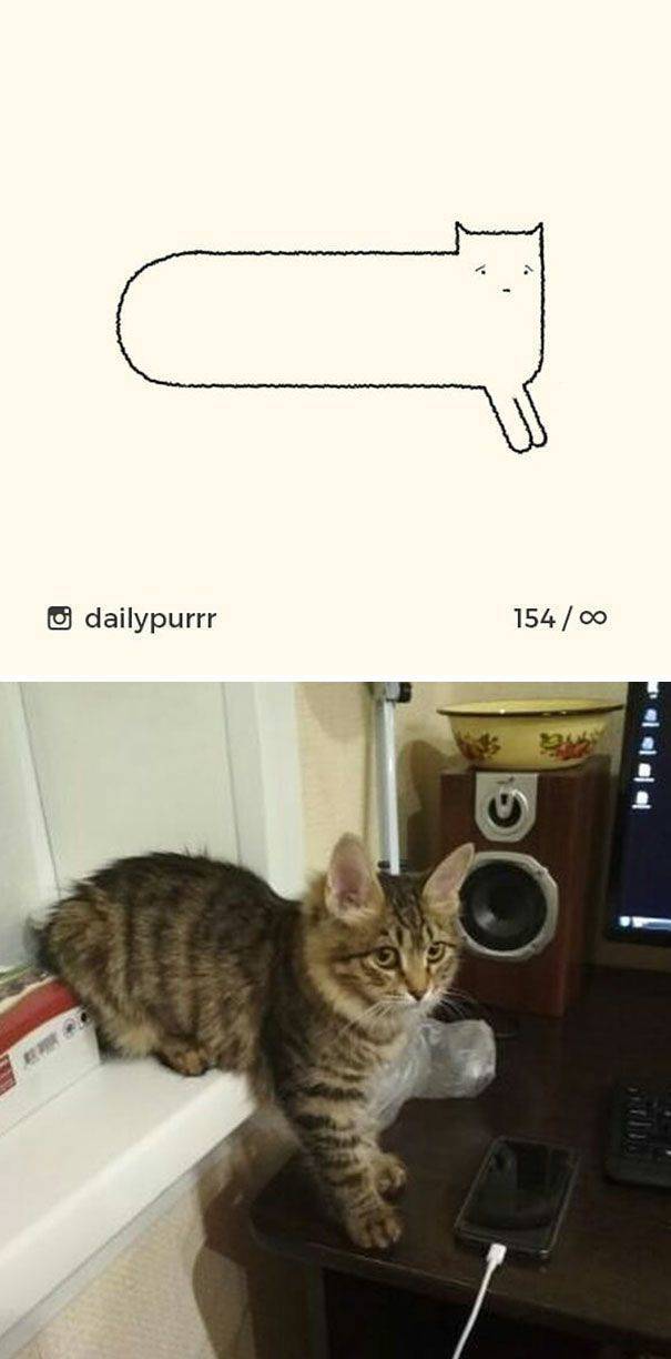 “Stupid Cat Drawings” Are Still Funny And Accurate Cat Drawings! (25 ...