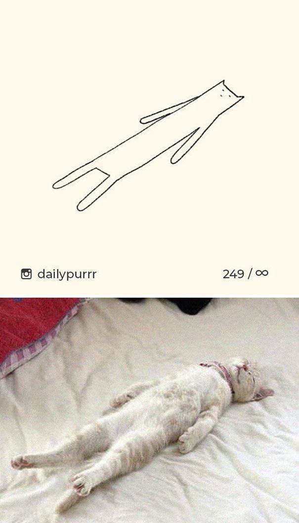 “Stupid Cat Drawings” Are Still Funny And Accurate Cat Drawings!