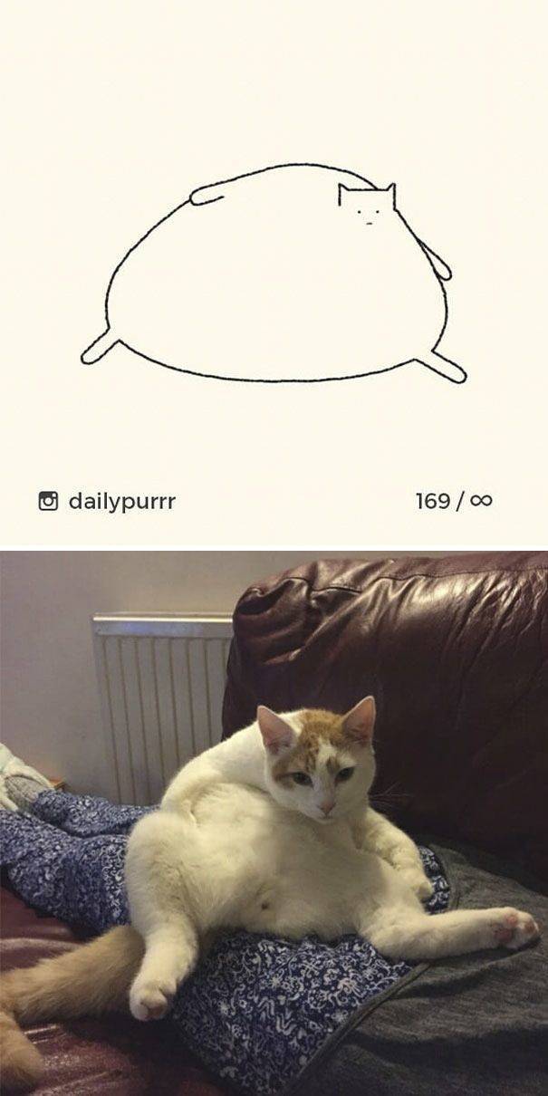 “Stupid Cat Drawings” Are Still Funny And Accurate Cat Drawings!