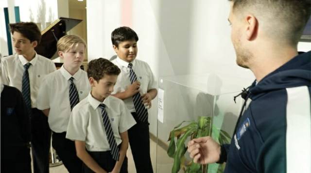 To Show The Damage Bullying Causes, IKEA Conducts An Experiment With Two Plants