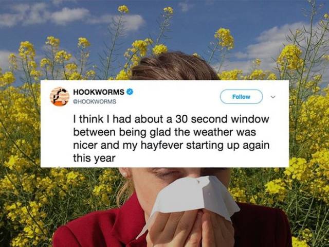 Don't Sneeze On These Allergy Season Memes (26 pics ...