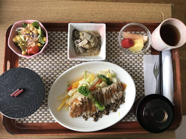 Expensive Restaurant Meals? Nope, Just Some Casual Japanese Hospital Food