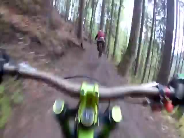 Enjoy Your Ride Through The Forest, They Said…