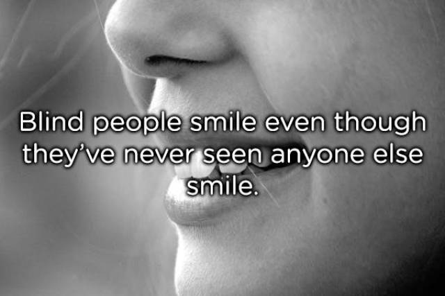 Facts That Can Make Anyone Smile