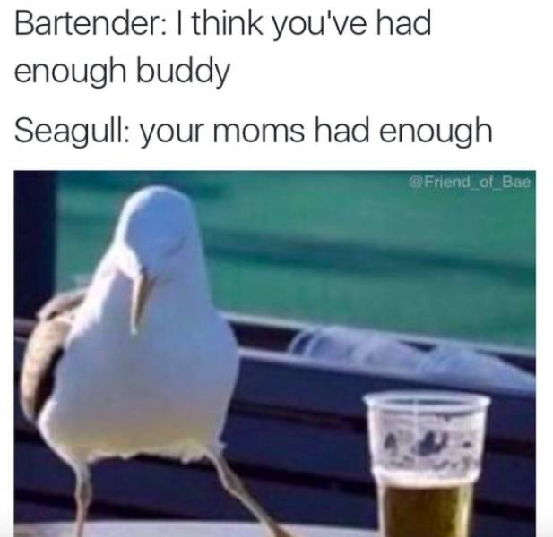 Inadequate Memes About Being Way Too Drunk