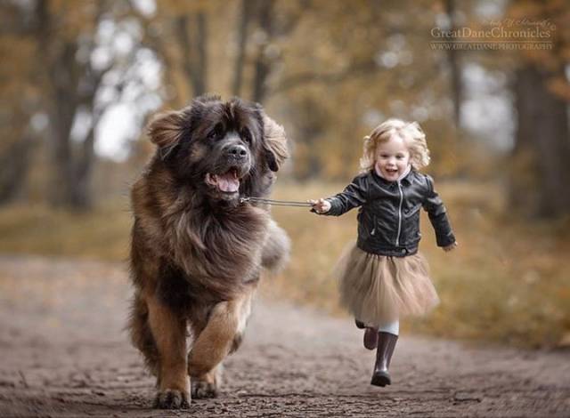 Pets + Humans = Friendship Forever
