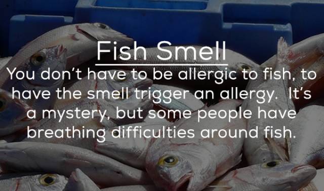 People Can Be Allergic To Anything…