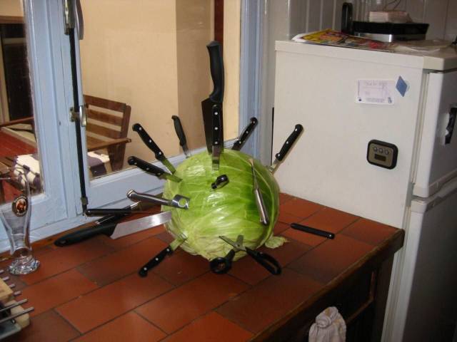 WTF Is The Word That Best Describes These Pictures