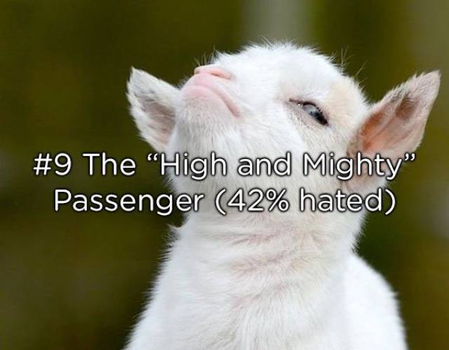 Let’s Hope You’ve Never Been One Of These Most Hated Passengers On An Airplane