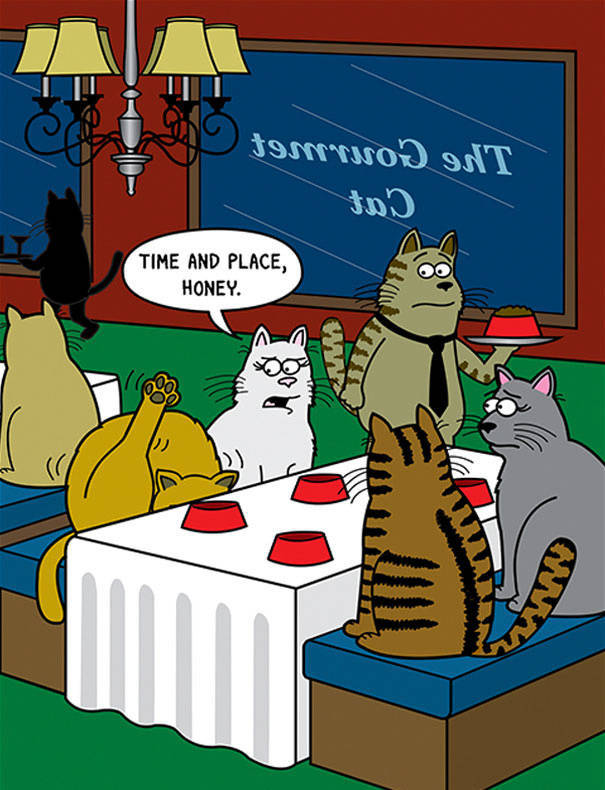 Cat Cartoons Made By An Artist With A More Than 20 Years Of Experience