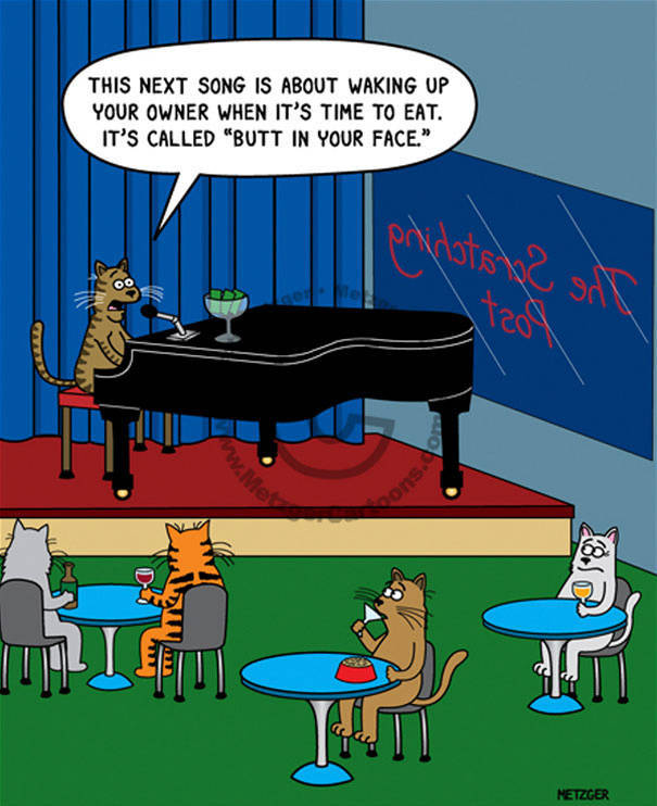 Cat Cartoons Made By An Artist With A More Than 20 Years Of Experience