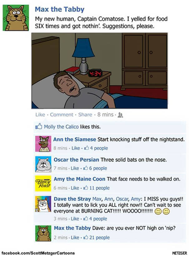 Cat Cartoons Made By An Artist With A More Than 20 Years Of Experience Cat Cartoons Made By An Artist With A More Than 20 Years Of Experience