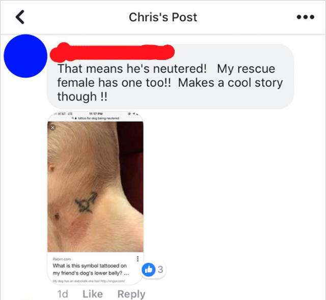 This Guy Should’ve Checked The Meaning Of His New Tattoo…
