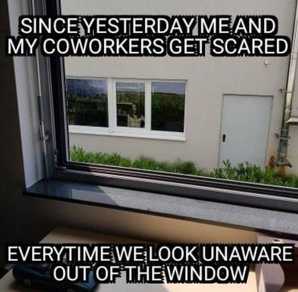 Real Warriors Fight With Windows