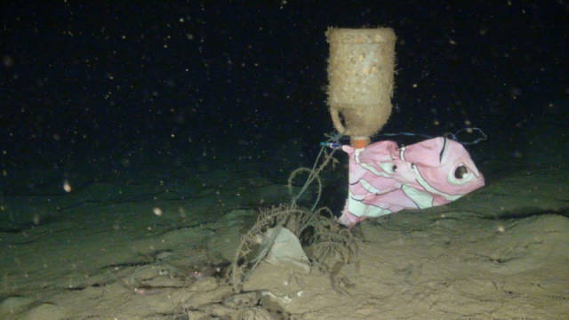 Here’s How Much Trash Can Be Found At The Bottom Of The Sea