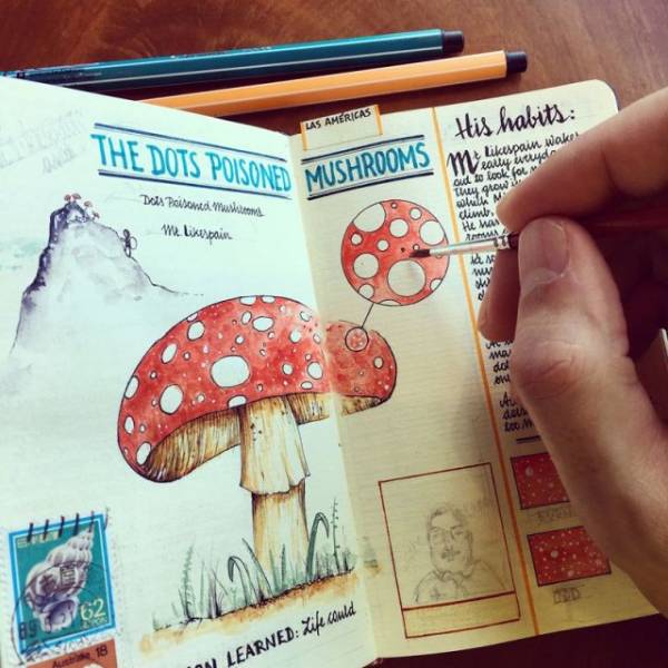 Have You Seen A Sketchbook Like This Before?