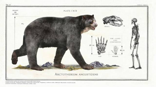 Giant Animals Which Became Extinct Long Ago