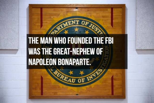 Short And Tyrannical Facts About Napoleon Bonaparte
