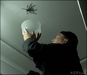 Nope, Nope, And Another Giant NOPE!