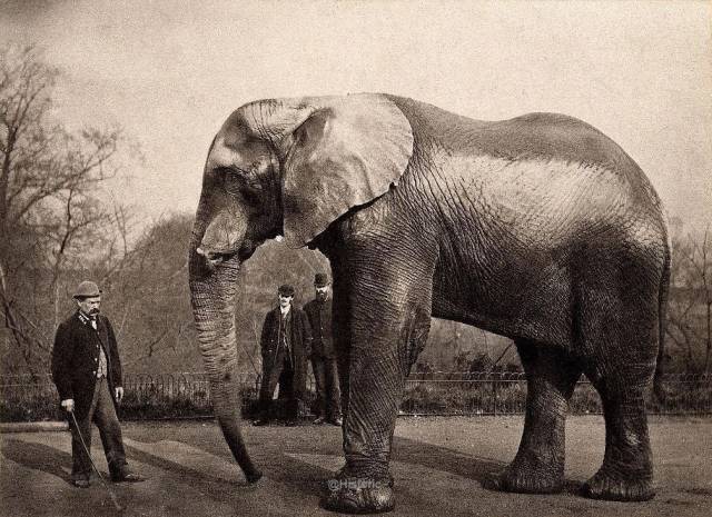 Historical Photos Are Always So Intriguing Historical Photos Are Always So Intriguing