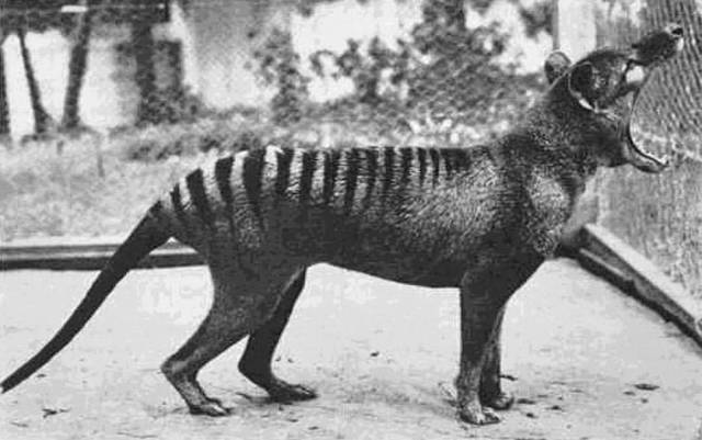 Historical Photos Are Always So Intriguing Historical Photos Are Always So Intriguing