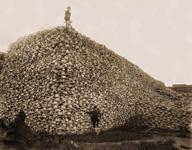 Historical Photos Are Always So Intriguing Historical Photos Are Always So Intriguing