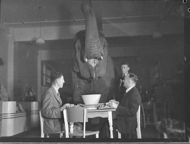 Historical Photos Are Always So Intriguing Historical Photos Are Always So Intriguing