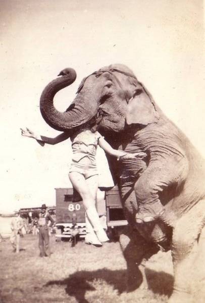 Historical Photos Are Always So Intriguing Historical Photos Are Always So Intriguing