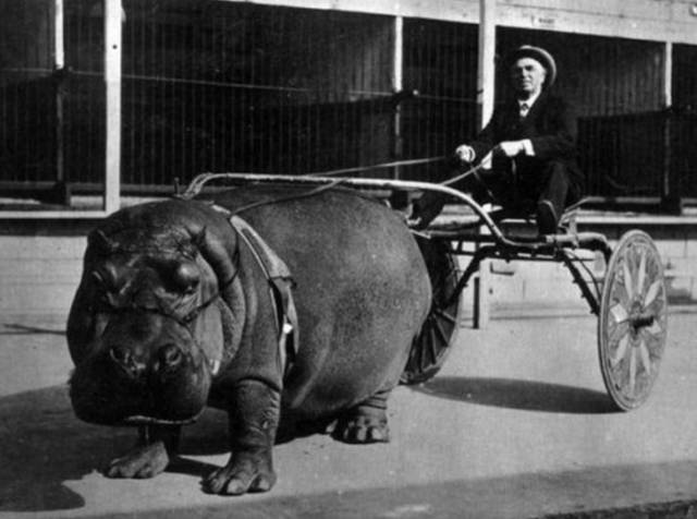 Historical Photos Are Always So Intriguing Historical Photos Are Always So Intriguing