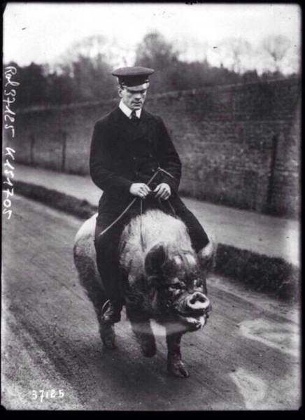 Historical Photos Are Always So Intriguing Historical Photos Are Always So Intriguing