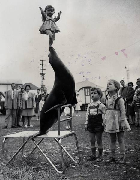 Historical Photos Are Always So Intriguing Historical Photos Are Always So Intriguing