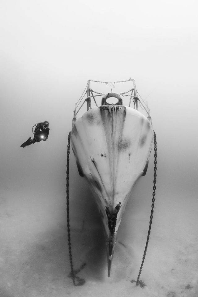 Underwater Photography 2018 Winners Are Really Deep Indeed
