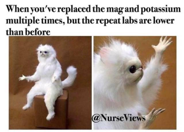 Medical Memes That Need A Pulse Check Right This Instant